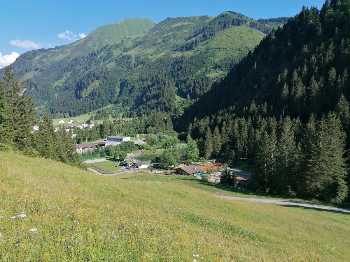Ferienwohnungen Haus Almrausch بيشلباخ المظهر الخارجي الصورة