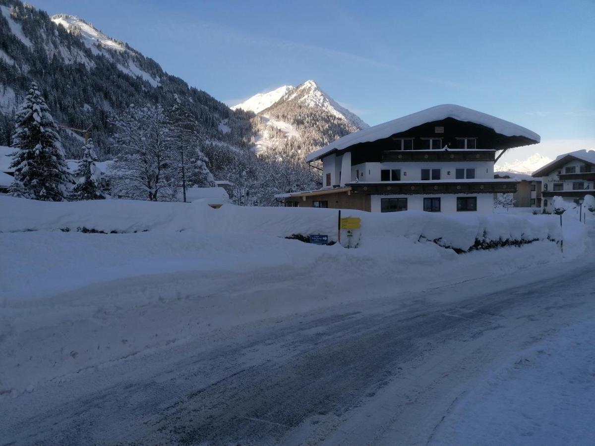 Ferienwohnungen Haus Almrausch بيشلباخ المظهر الخارجي الصورة